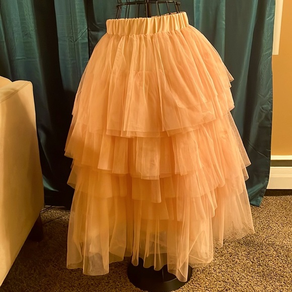 Chicwish Dresses & Skirts - *FREE SHIPPING* Chicwish Skirt Tulle Blush Pink Size XS / S